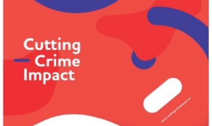 Review of State of the Art: Crime Prevention through Urban Design and Planning