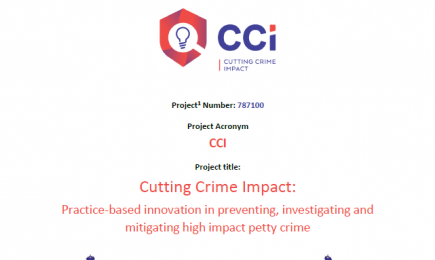 Cutting Crime Impact: Practice-based innovation in preventing, investigating and mitigating high impact petty crime