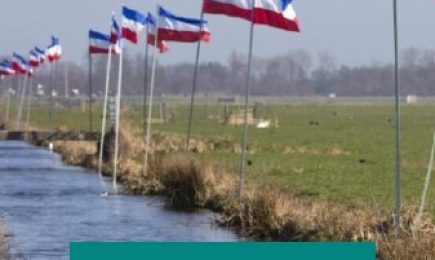 Perspectieven op Maatschappelijke Onrust – Interviews met experts